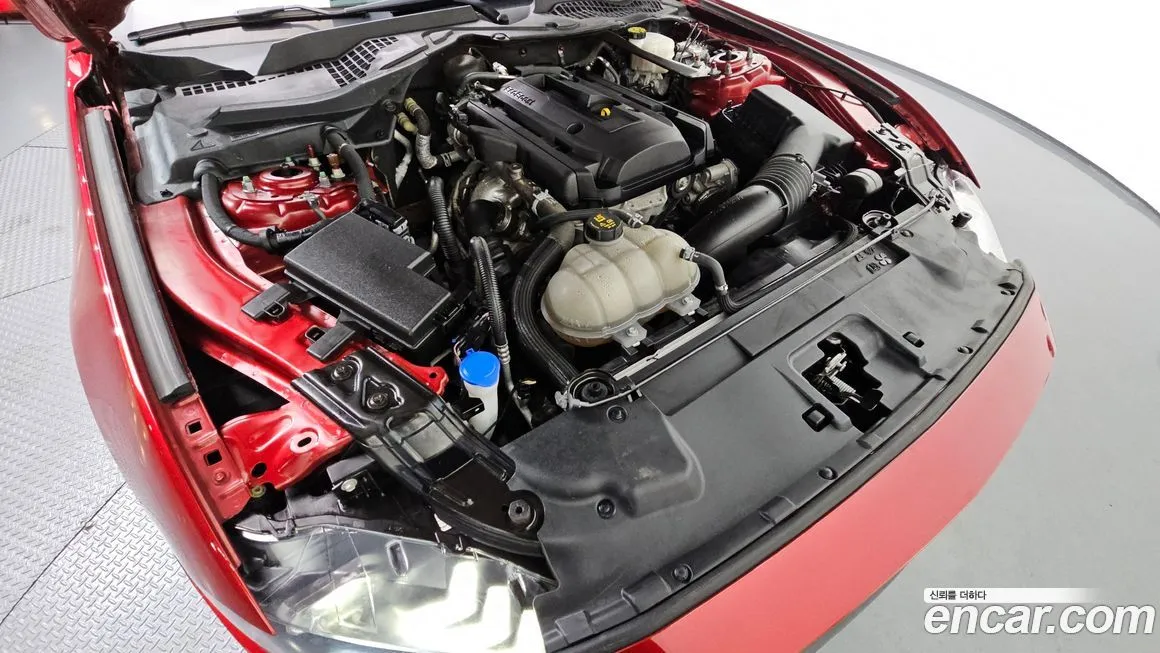 Ford Mustang 2022 из KR, фото 8