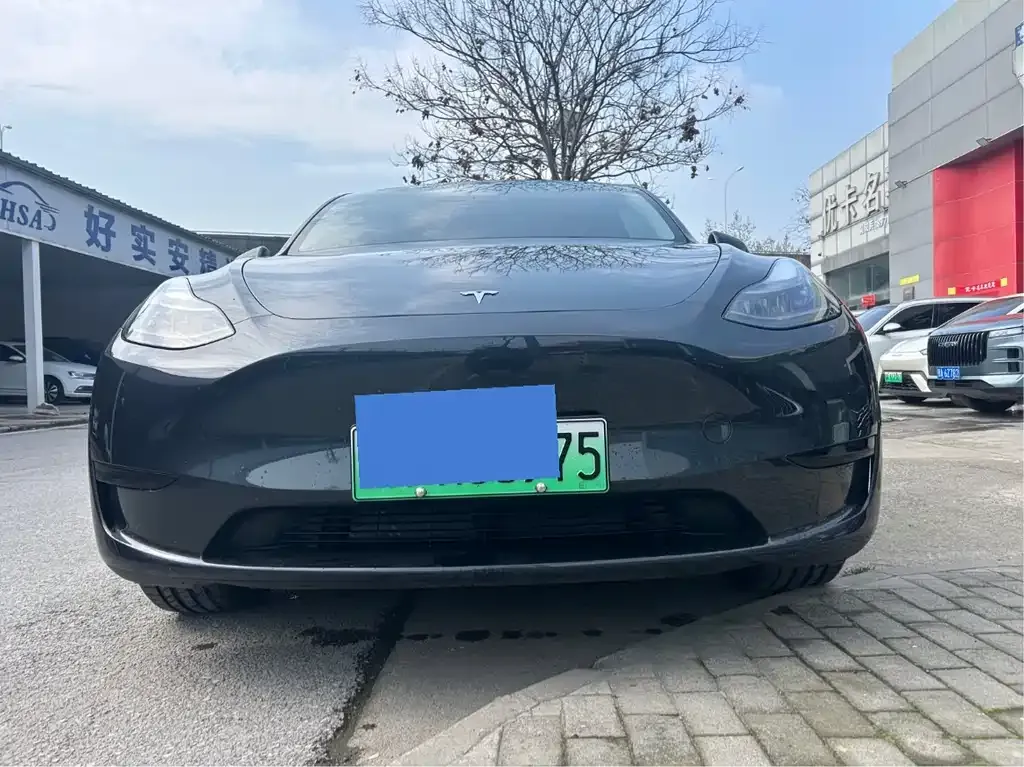 Tesla Model Y — фото 1