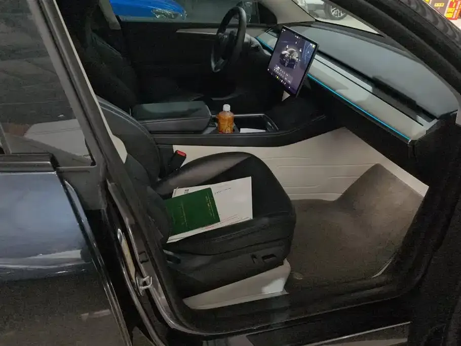 Tesla Model Y — фото 10
