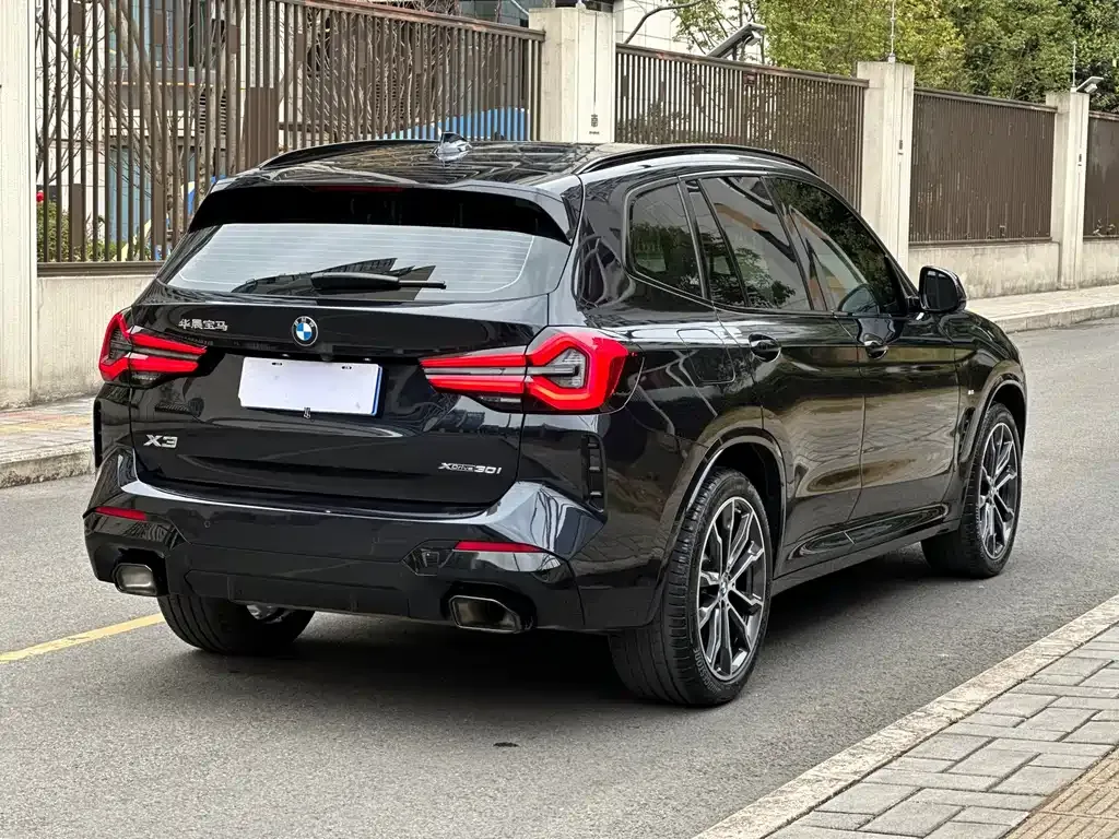 BMW X3 2024 из CN, фото 6