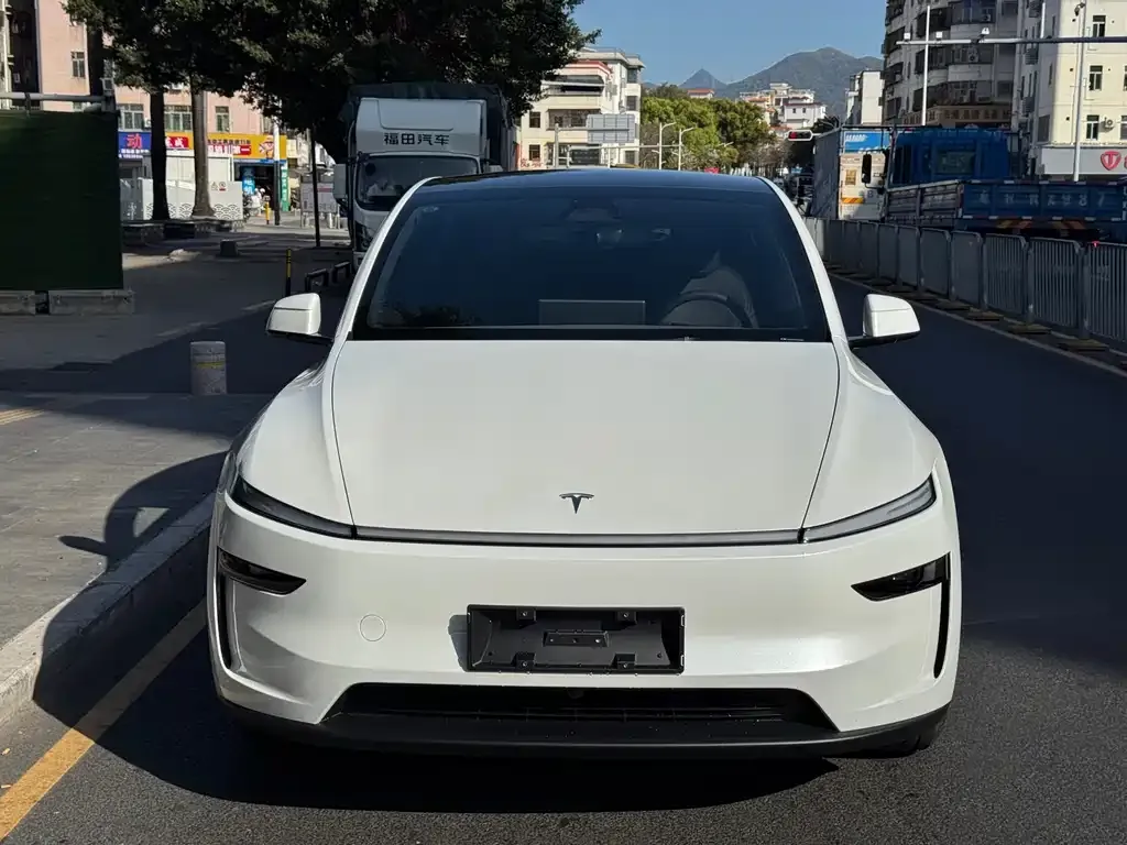 Tesla Model Y — фото 3