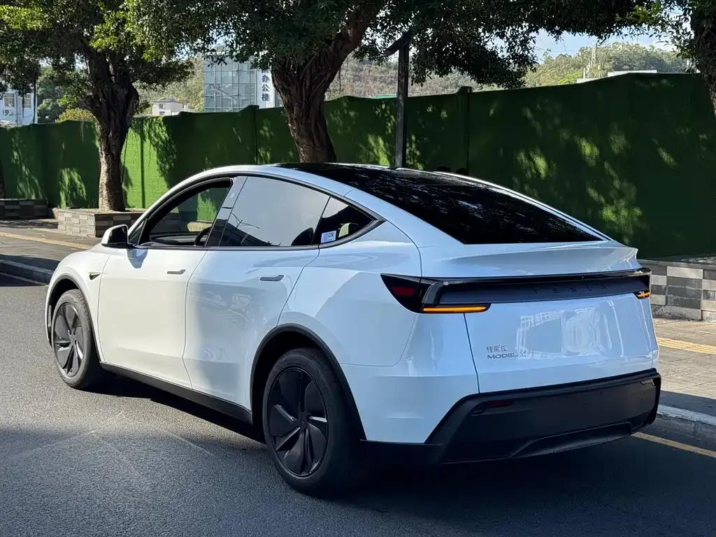 Tesla Model Y — фото 5