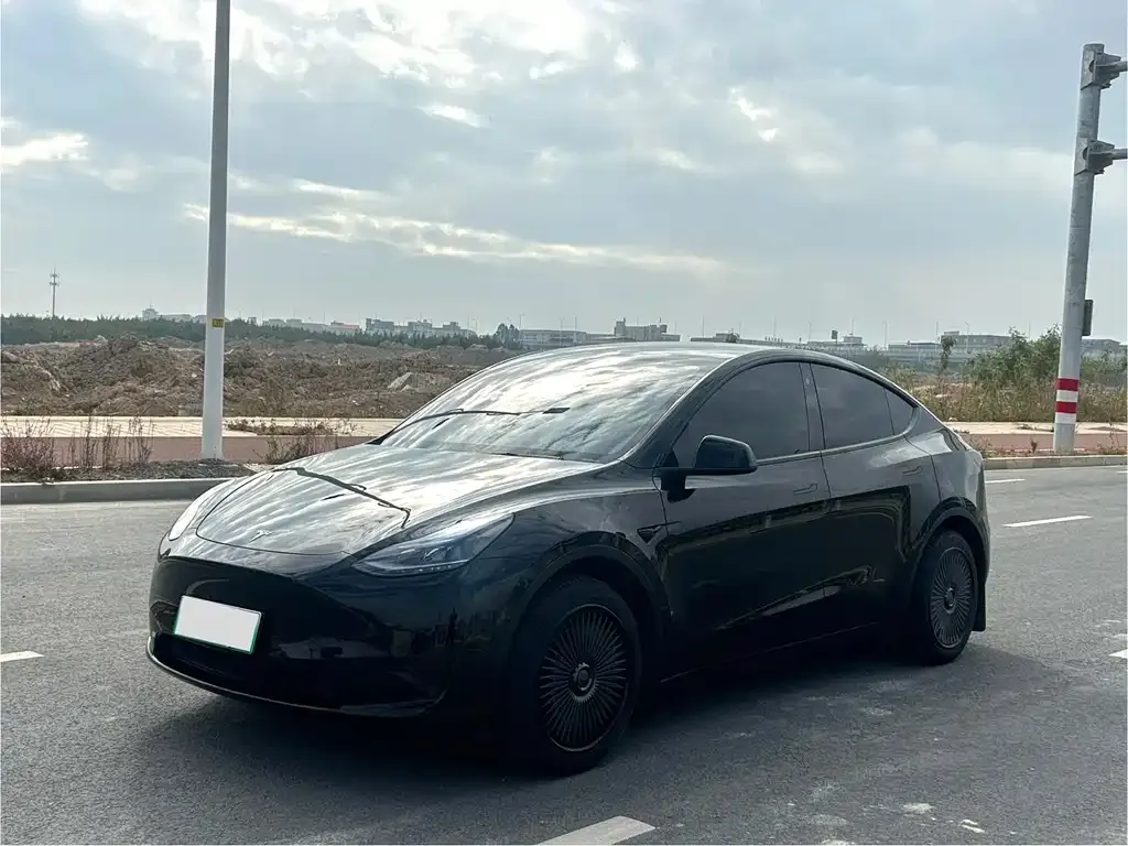 Tesla Model Y 2023 из CN, фото 1