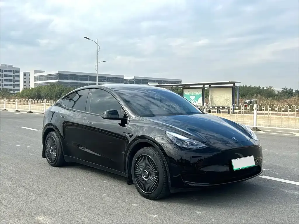 Tesla Model Y 2023 из CN, фото 7