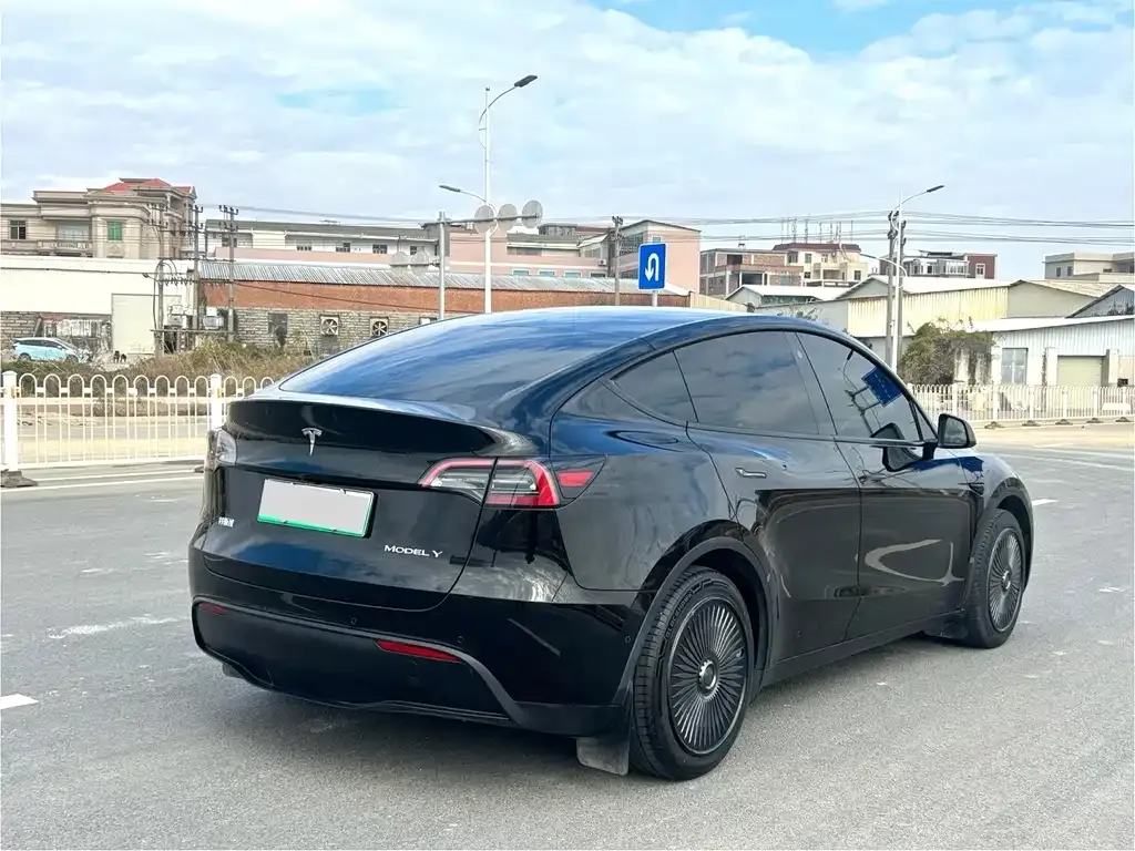 Tesla Model Y 2023 из CN, фото 6