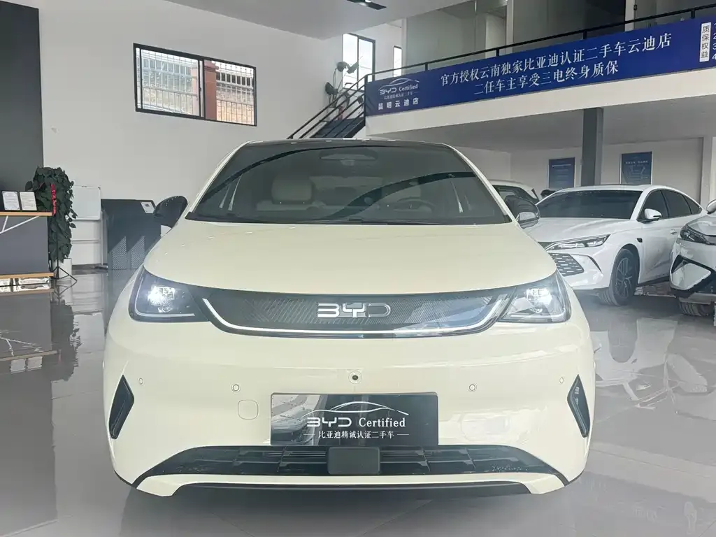 BYD Dolphin 2025 из CN, фото 7