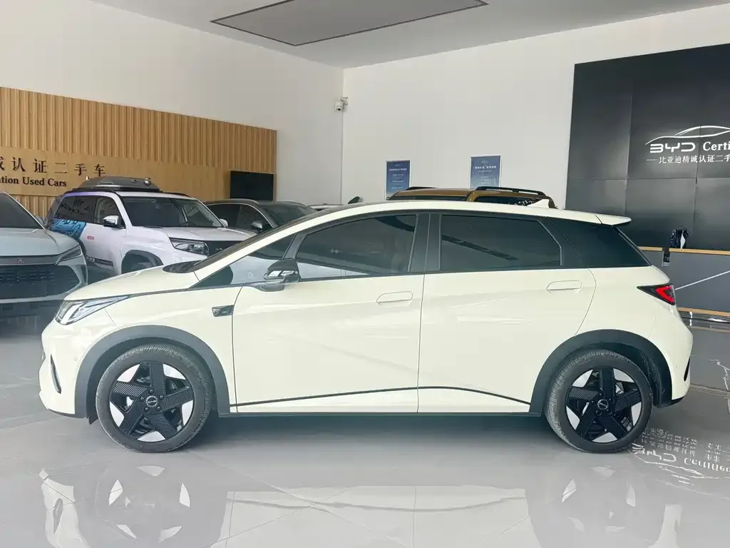 BYD Dolphin 2025 из CN, фото 3