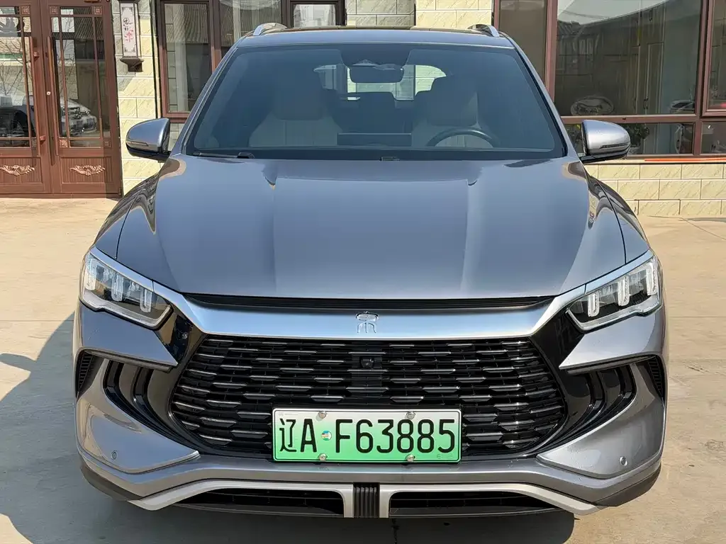 BYD Pro New Energy 2023 из CN, фото 3