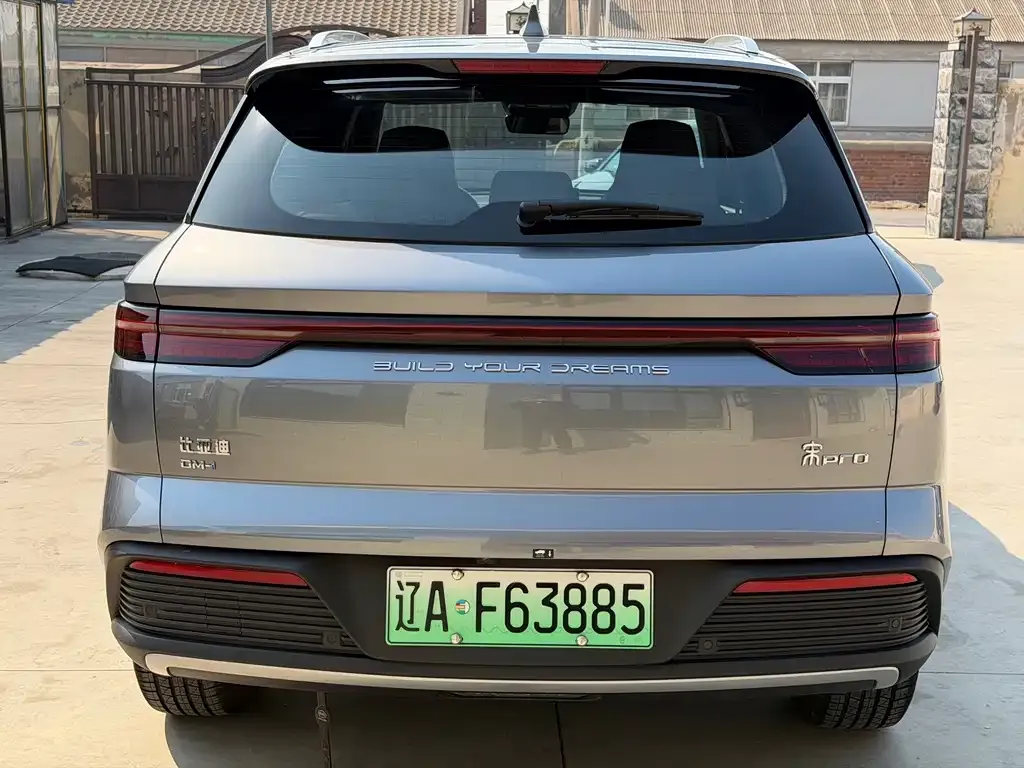 BYD Pro New Energy 2023 из CN, фото 4
