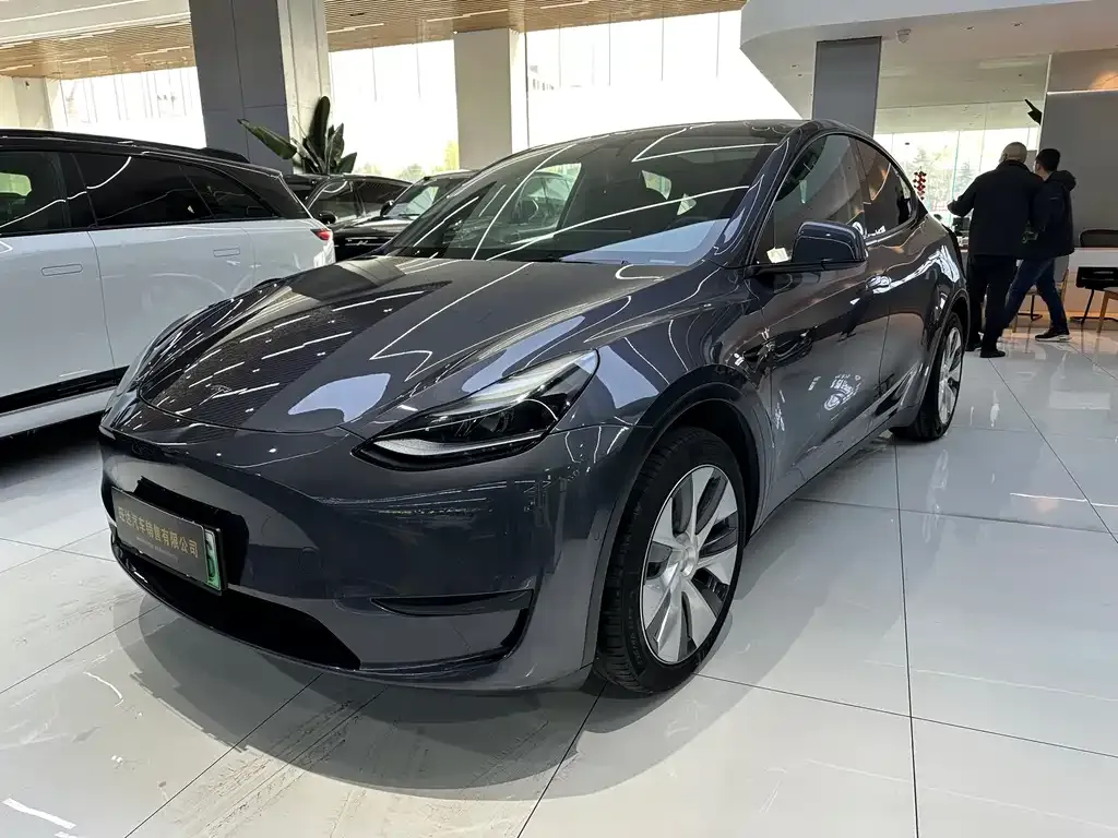 Tesla Model Y — фото 1
