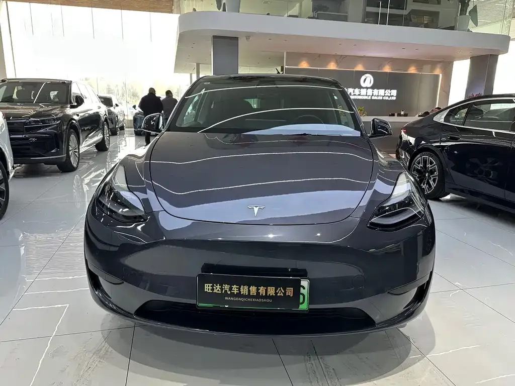 Tesla Model Y — фото 7