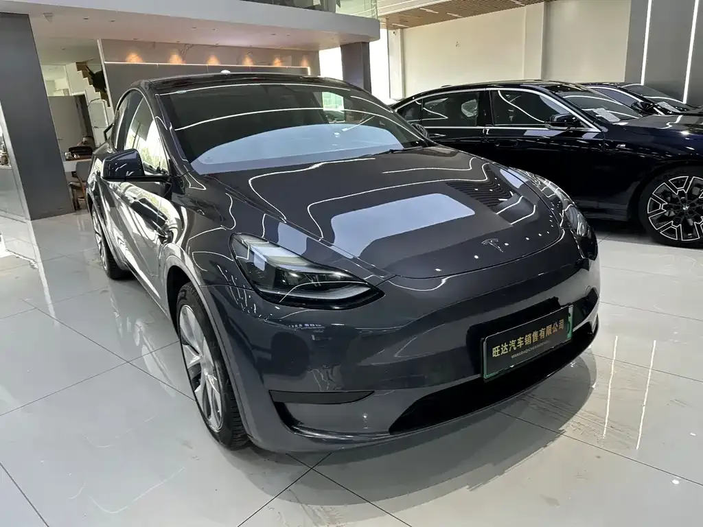 Tesla Model Y — фото 10