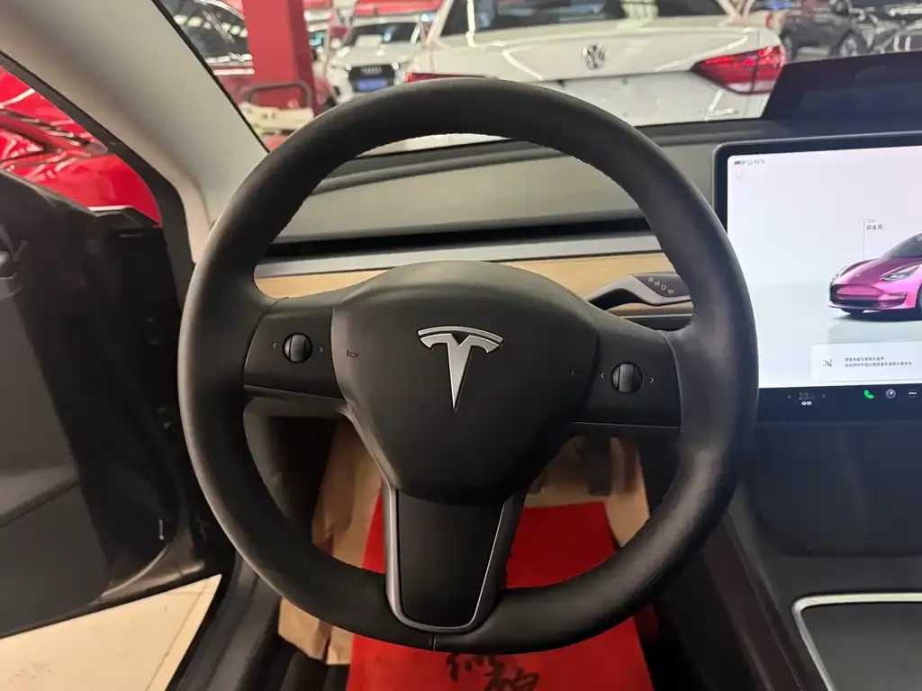 Tesla Model 3 2022 из CN, фото 2