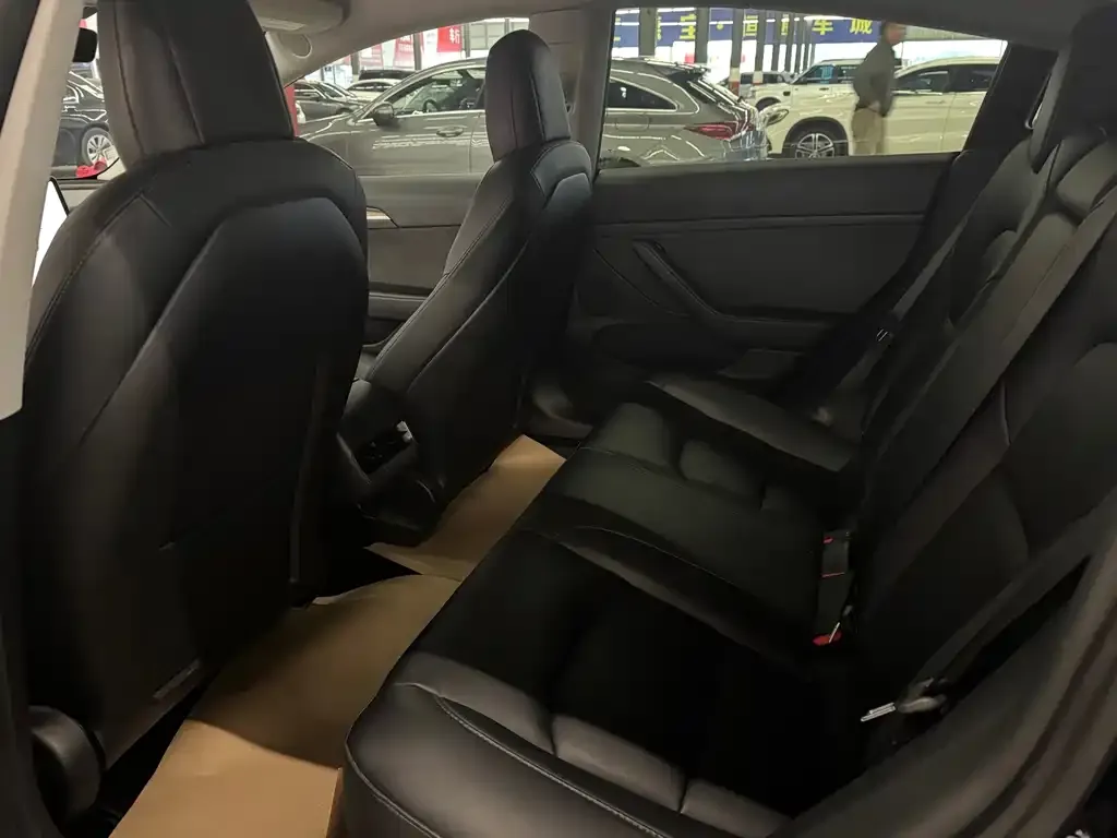 Tesla Model 3 2022 из CN, фото 4