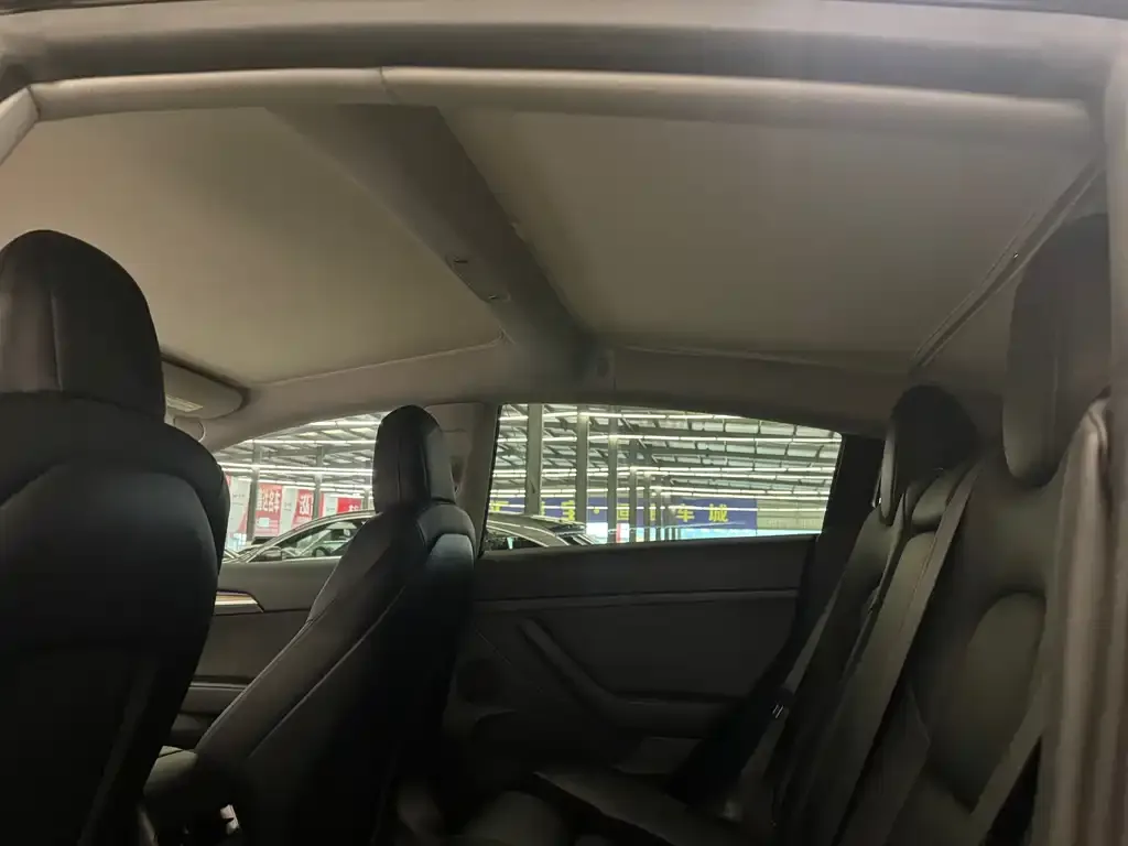 Tesla Model 3 2022 из CN, фото 3