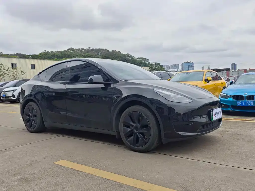 Tesla Model Y — фото 6