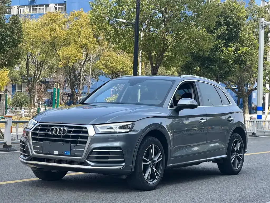Audi Q5L 2021 из CN, фото 1