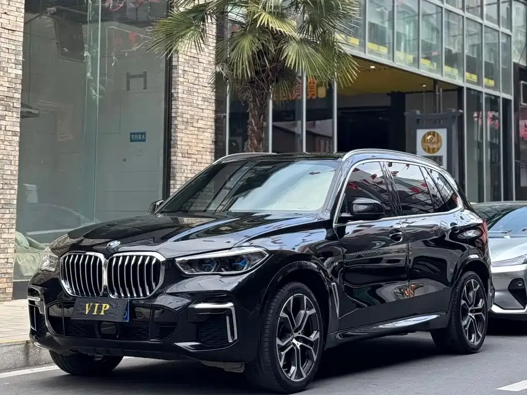 BMW X5 — фото 1