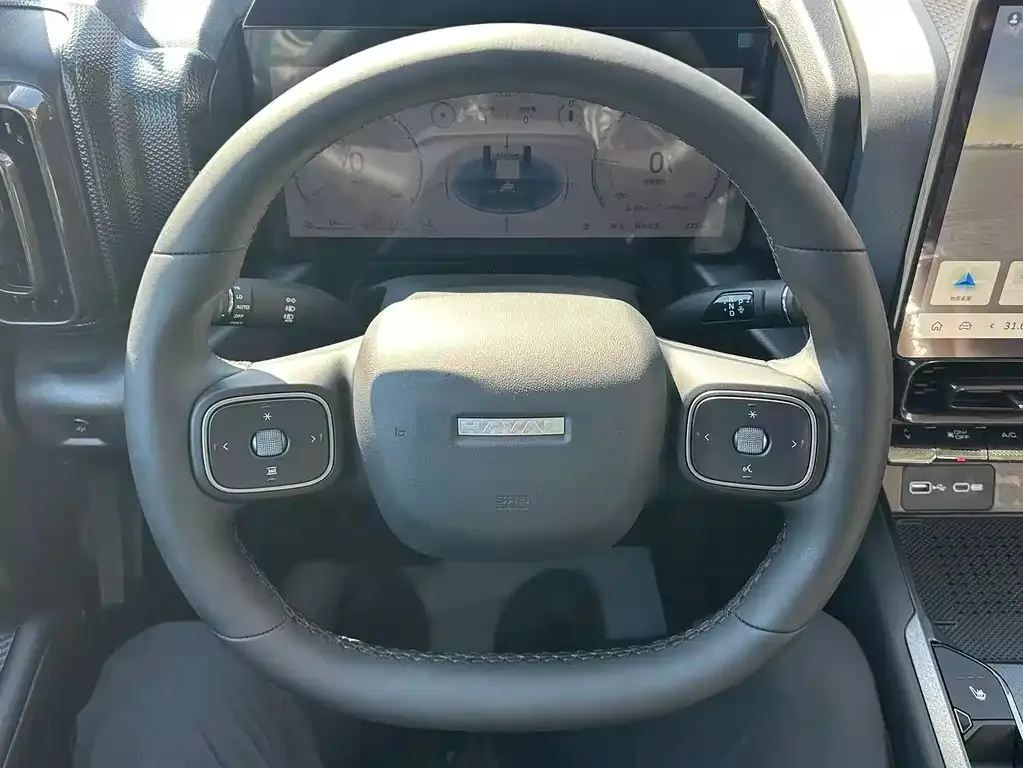 Haval Menglong New Energy 2025 из CN, фото 9