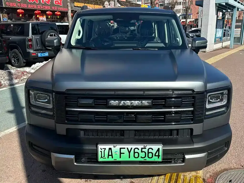 Haval Menglong New Energy 2025 из CN, фото 5