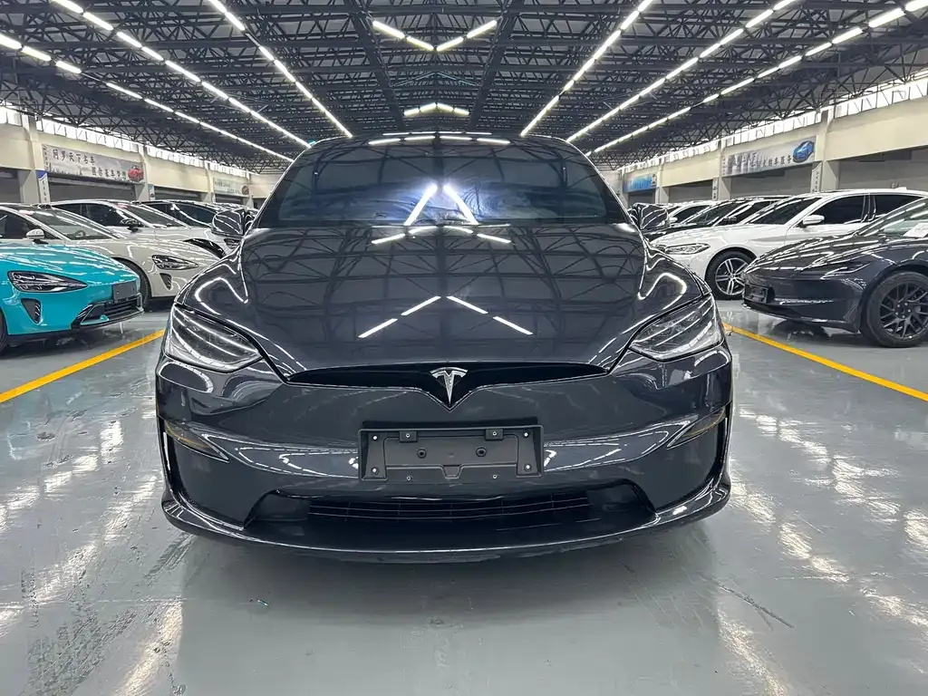 Tesla Model X — фото 9