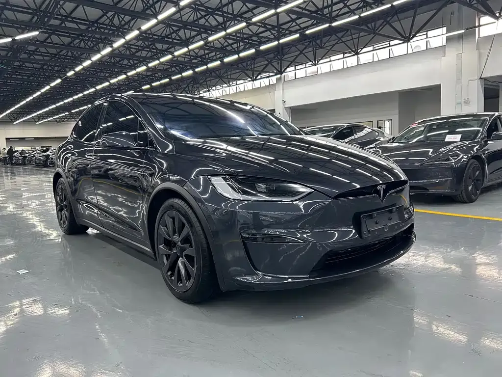 Tesla Model X — фото 10