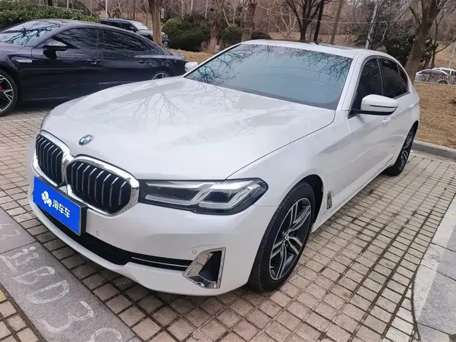 BMW 5 Series 530Li xDrive Luxury