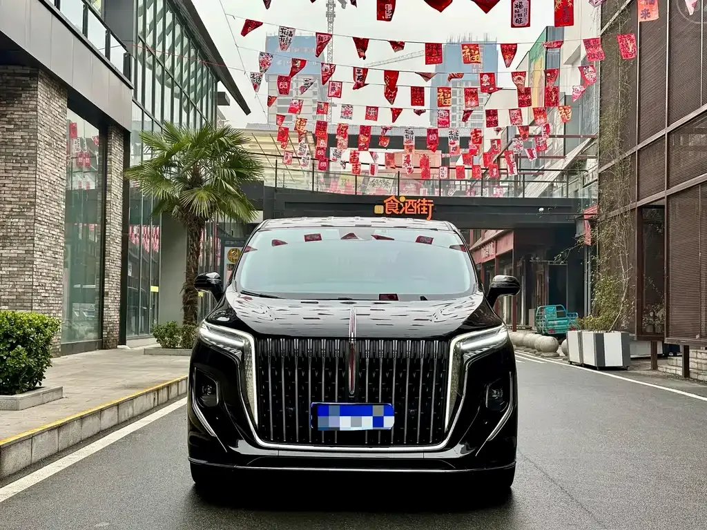 Hongqi HQ9 2023 из CN, фото 9
