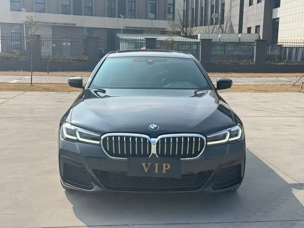 BMW 5 Series 2023 из CN, фото 2
