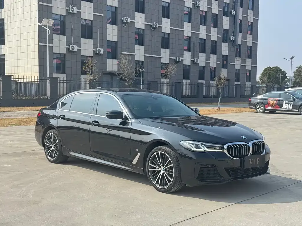 BMW 5 Series 2023 из CN, фото 5