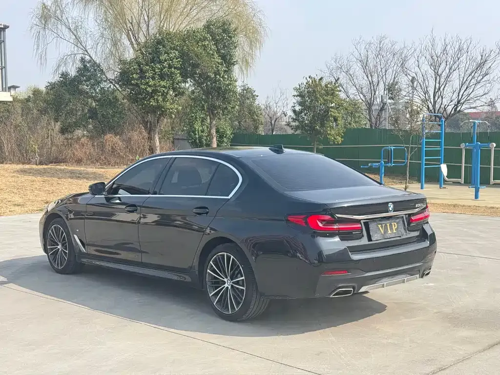 BMW 5 Series 2023 из CN, фото 9