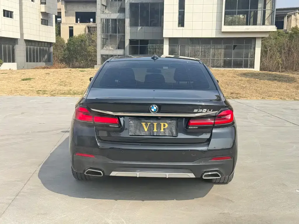 BMW 5 Series 2023 из CN, фото 6