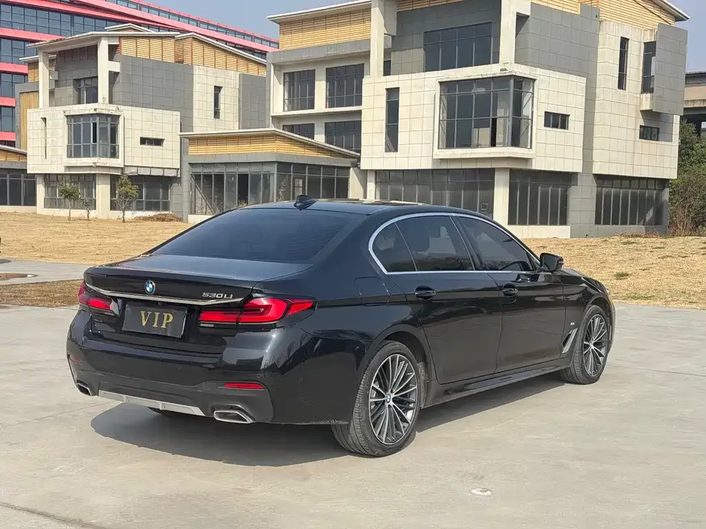BMW 5 Series 2023 из CN, фото 4
