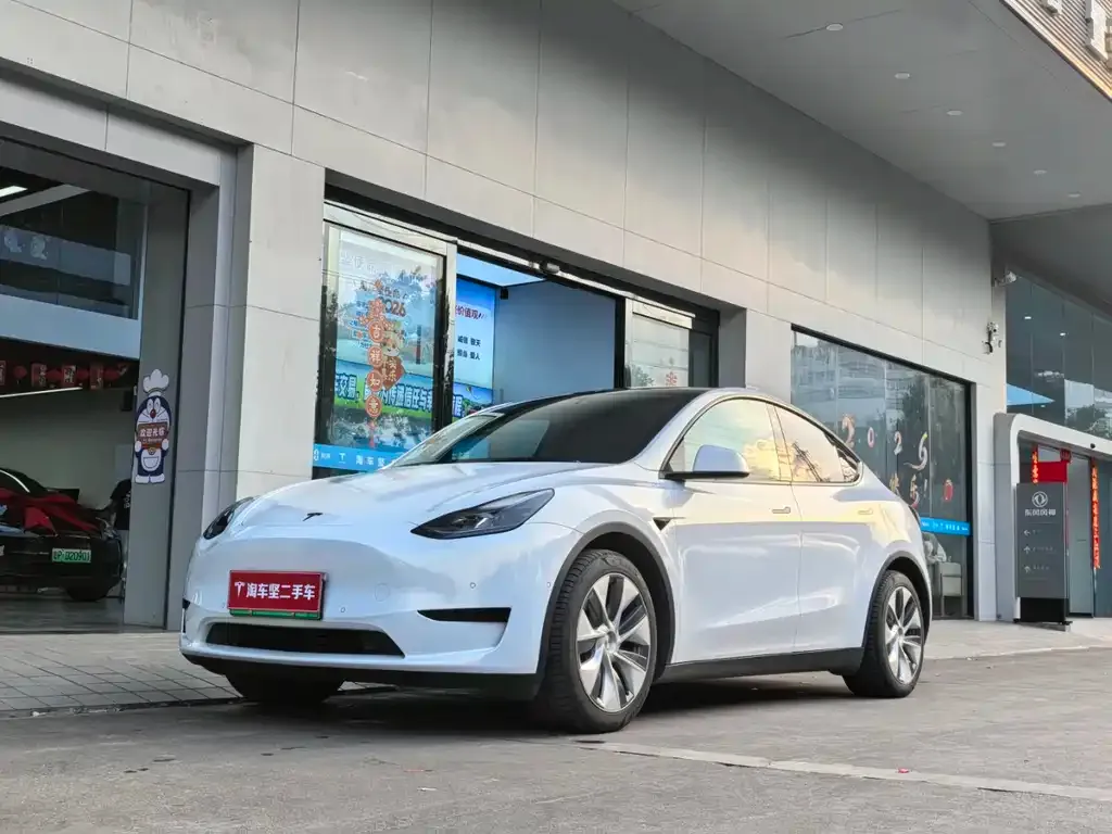 Tesla Model Y — фото 1