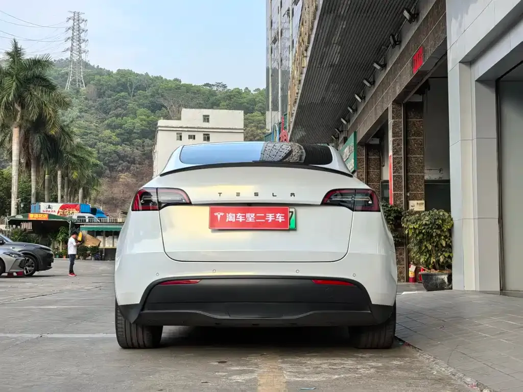 Tesla Model Y — фото 2