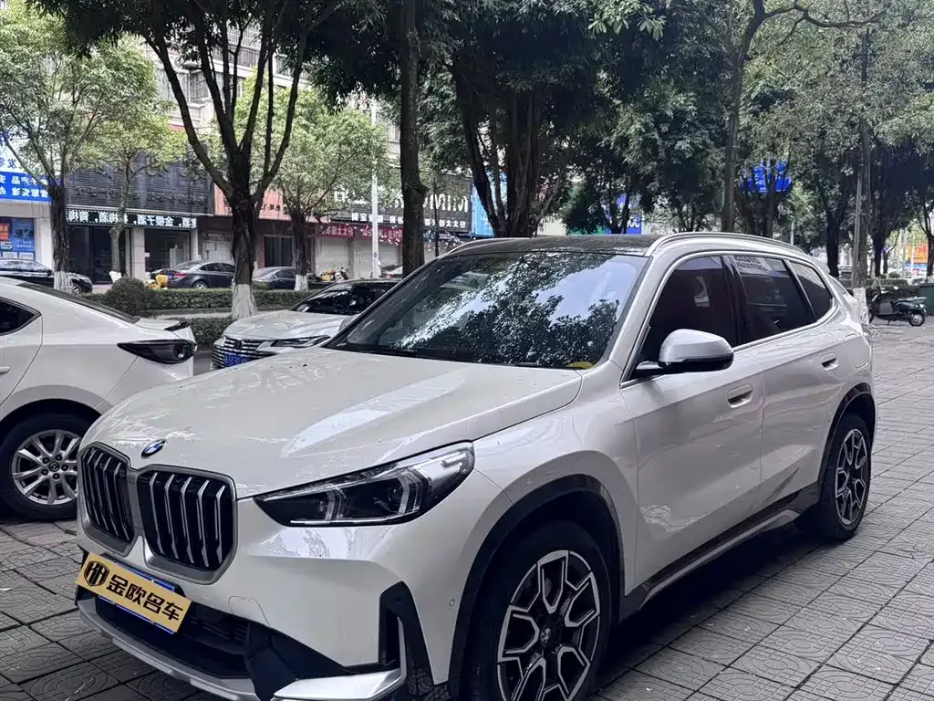 BMW X1 — фото 1