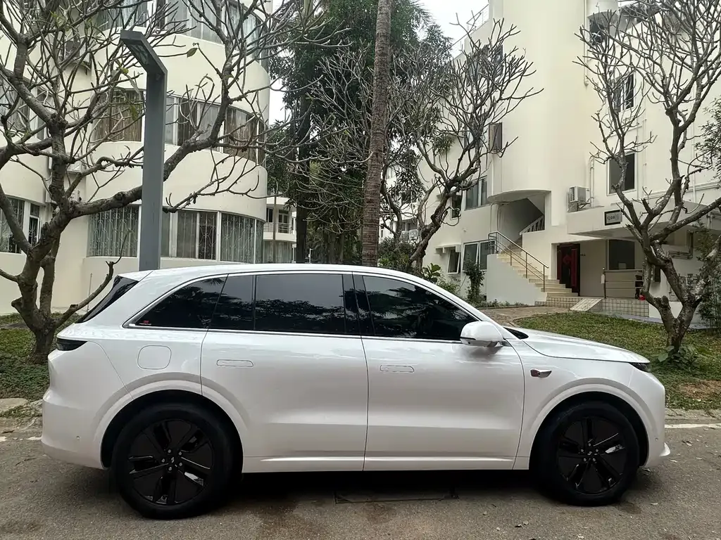 Li Auto Li L6 2025 из CN, фото 8