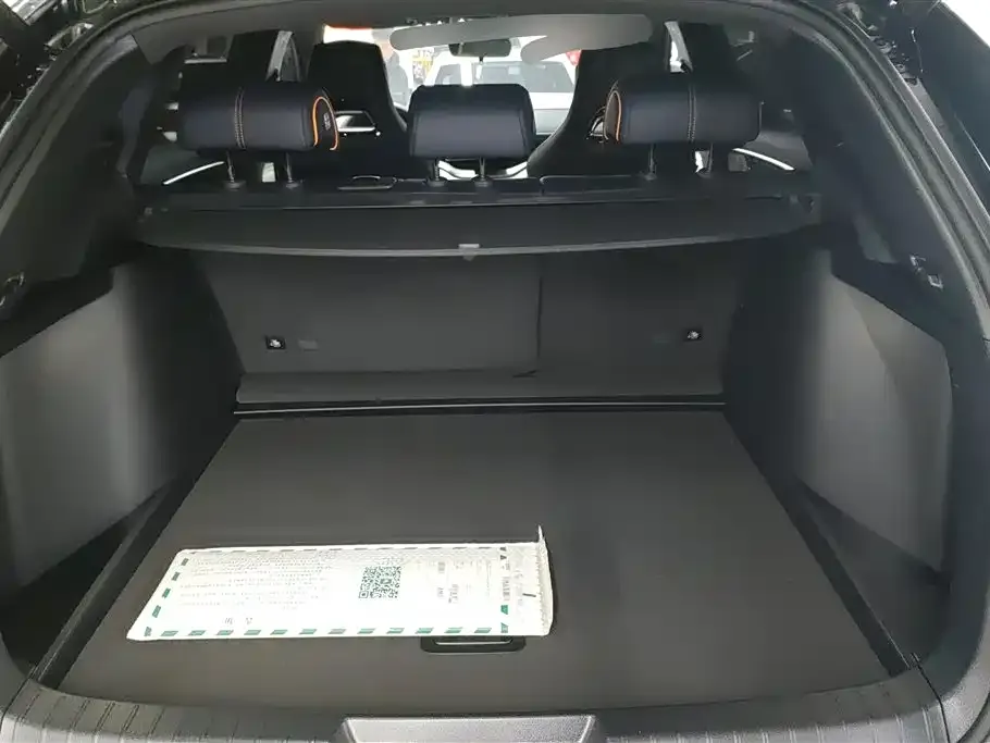 BYD PLUS New Energy — фото 10