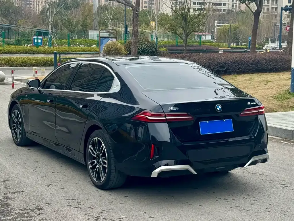 BMW 5 Series 2024 из CN, фото 9