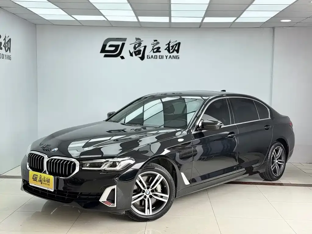 BMW 5 Series 2021 из CN, фото 1