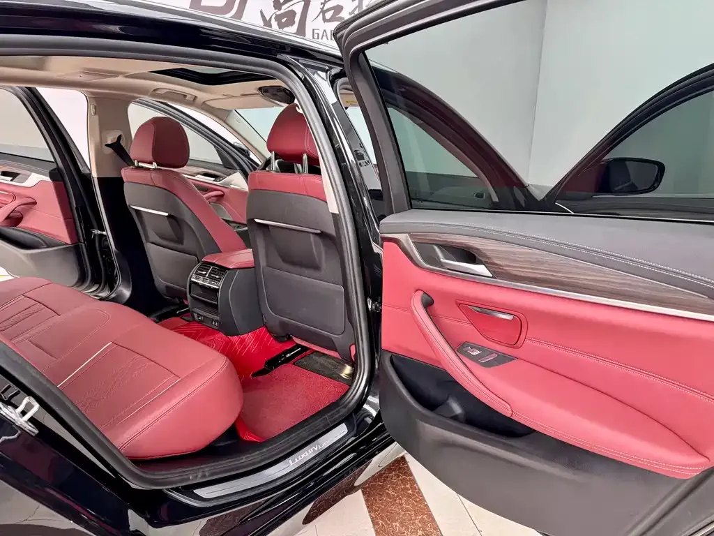 BMW 5 Series 2021 из CN, фото 8