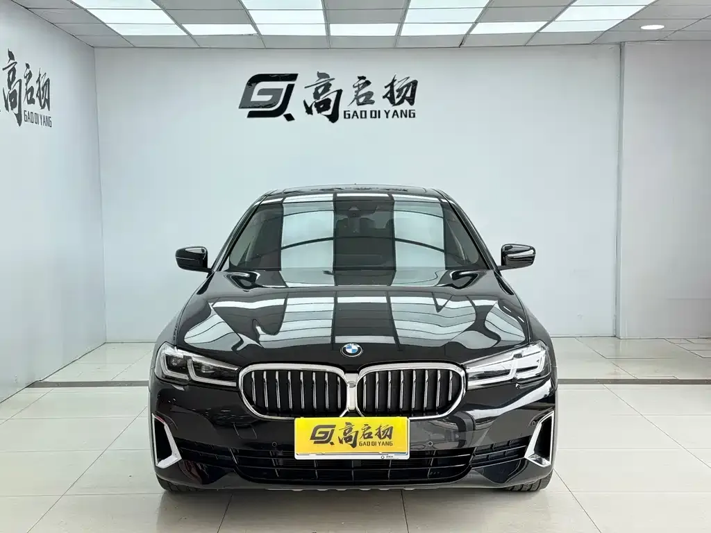 BMW 5 Series 2021 из CN, фото 9