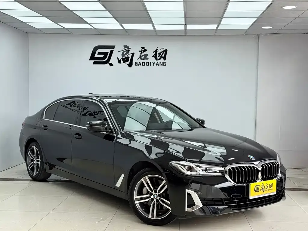 BMW 5 Series 2021 из CN, фото 10