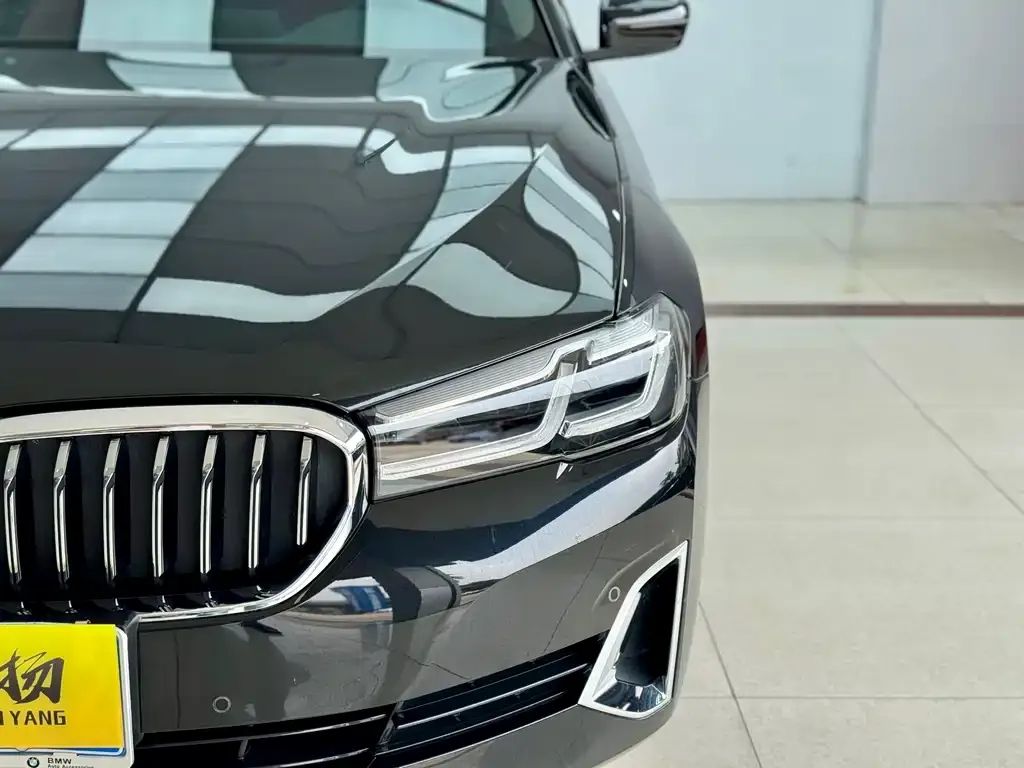 BMW 5 Series 2021 из CN, фото 2