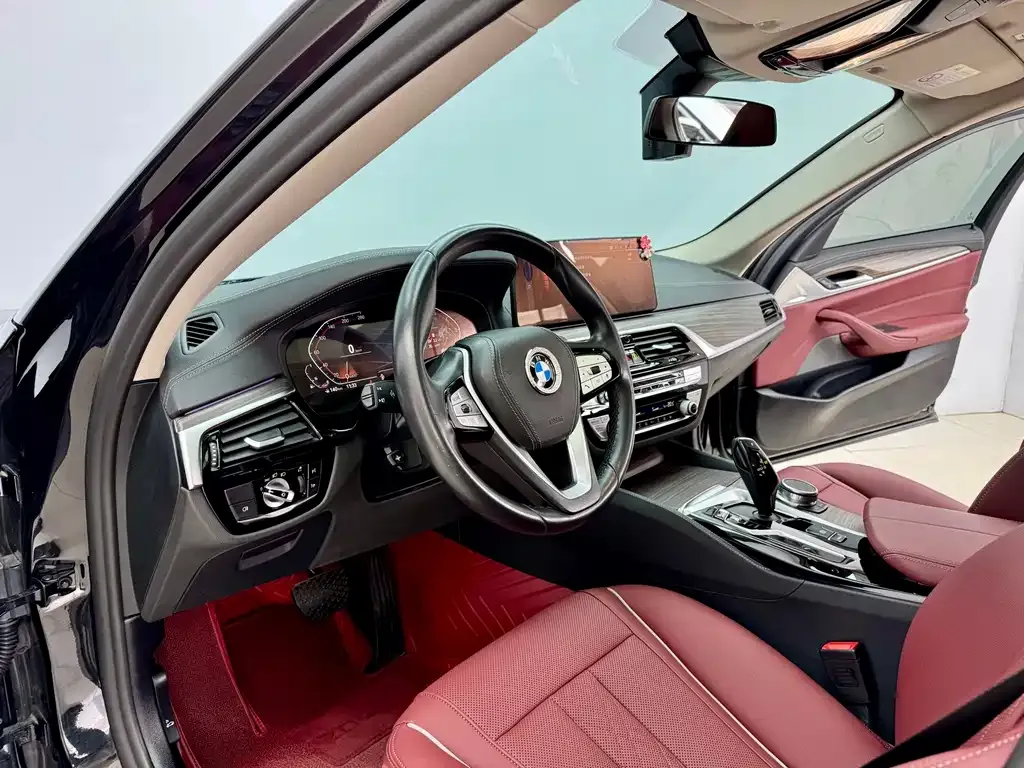 BMW 5 Series 2021 из CN, фото 4