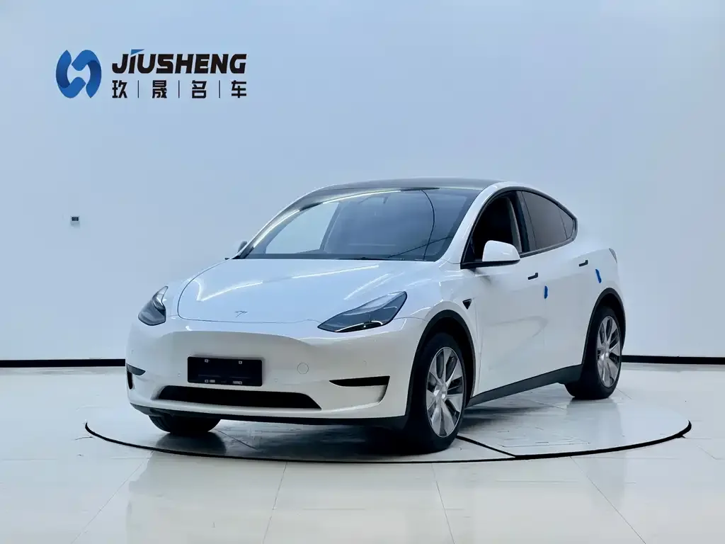 Tesla Model Y 2023 из CN, фото 1
