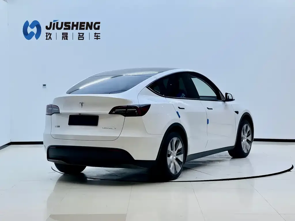 Tesla Model Y 2023 из CN, фото 5