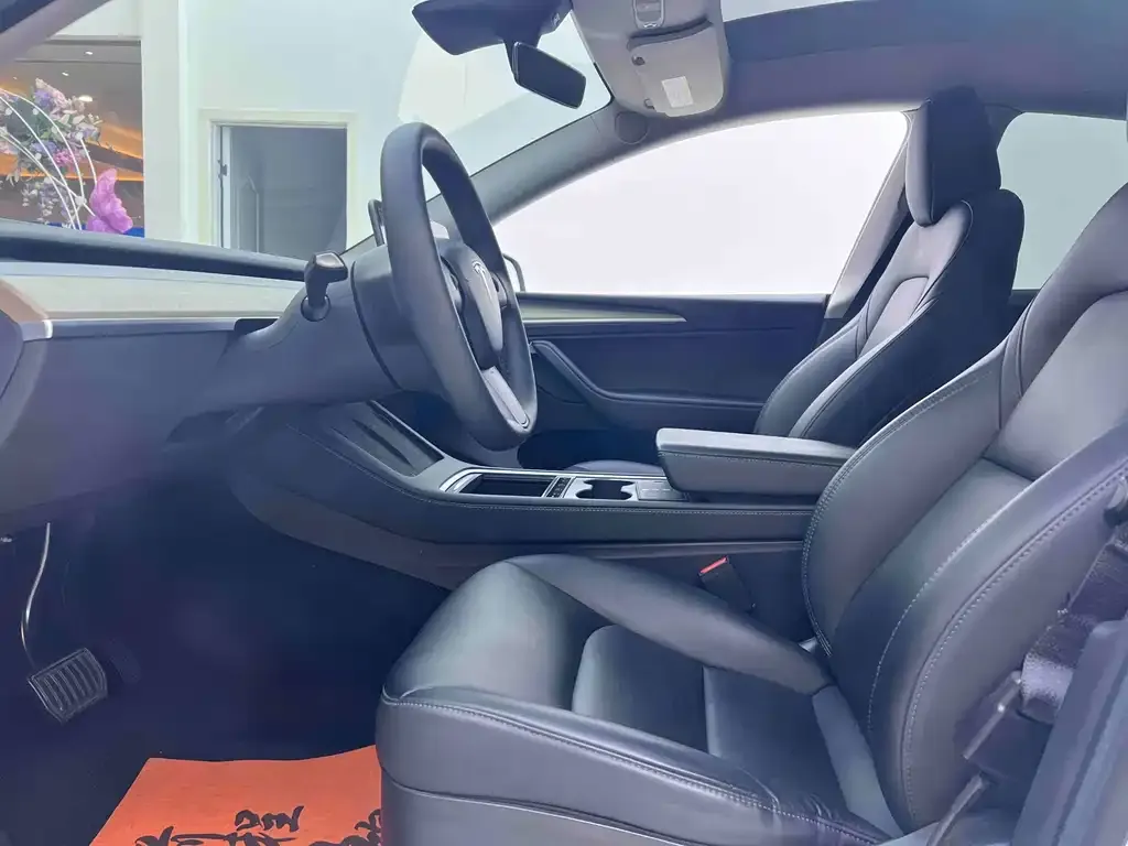 Tesla Model Y 2023 из CN, фото 2