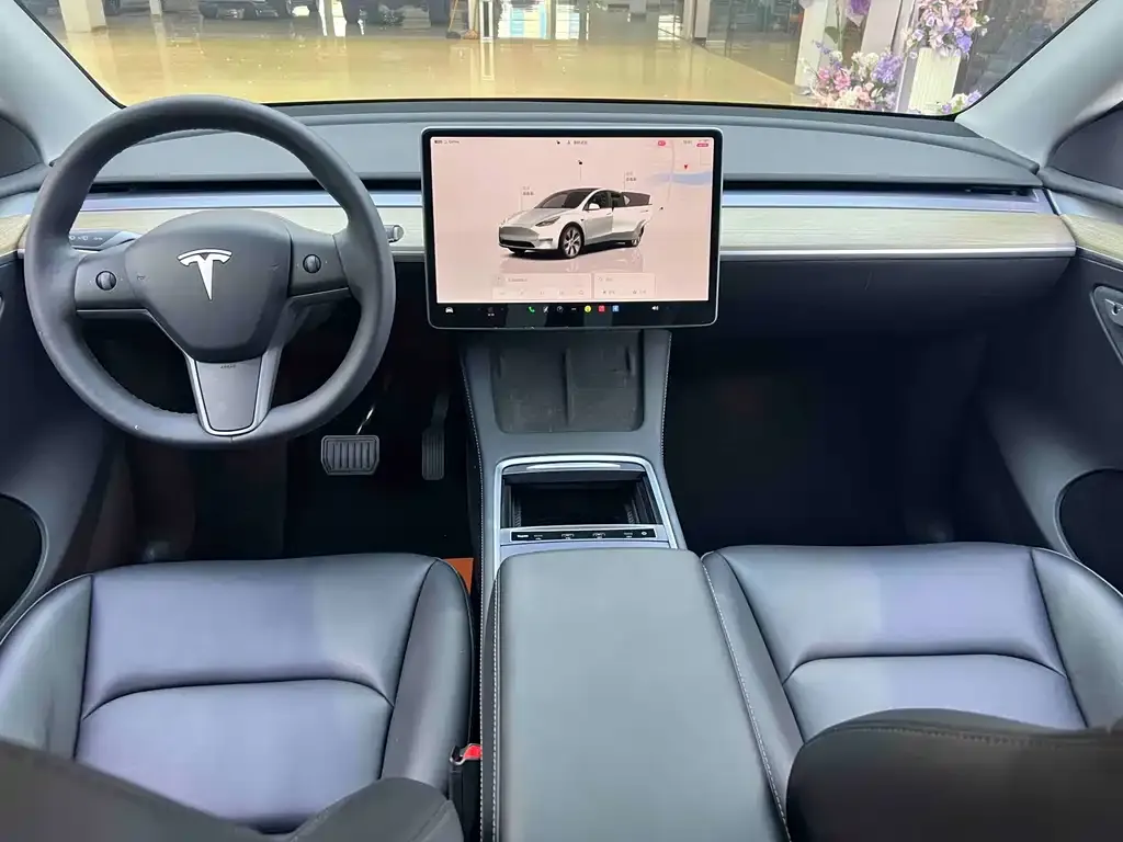 Tesla Model Y 2023 из CN, фото 9