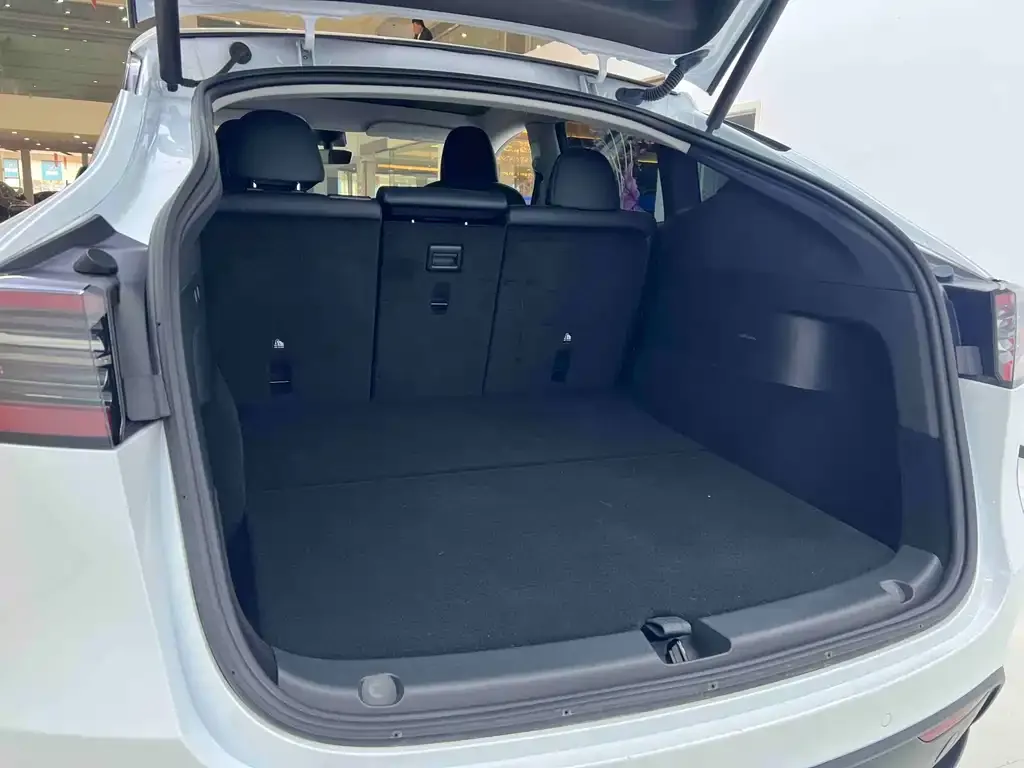 Tesla Model Y 2023 из CN, фото 6